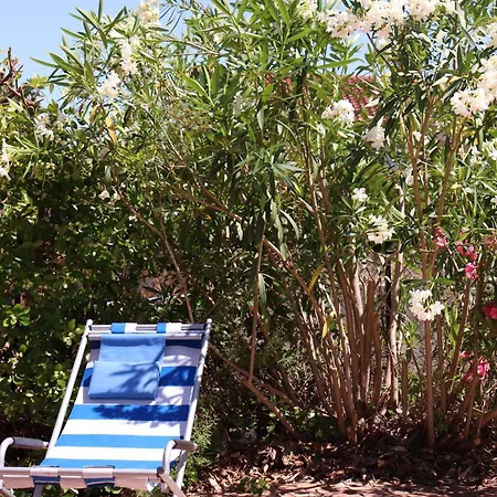 Shoreline Serenity *