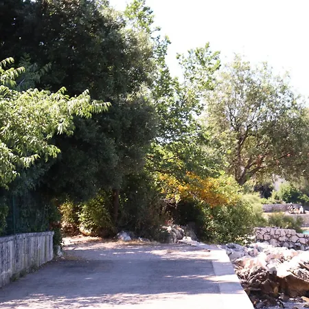 Shoreline Serenity Lejlighed