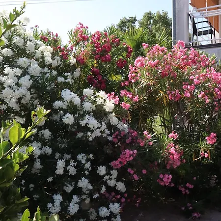 Lejlighed Shoreline Serenity *