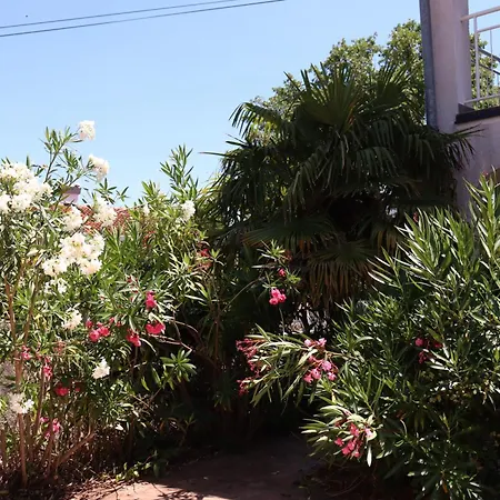 Shoreline Serenity Lejlighed *