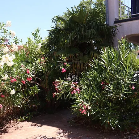 Lejlighed Shoreline Serenity *