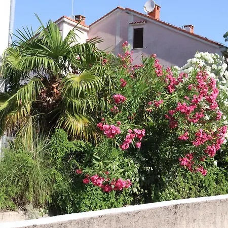 Shoreline Serenity * Vantacici