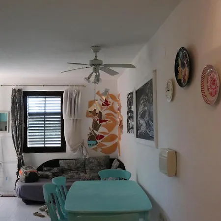 Shoreline Serenity Vantacici