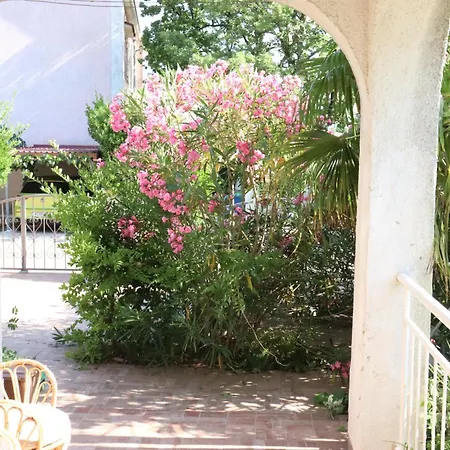 Shoreline Serenity *