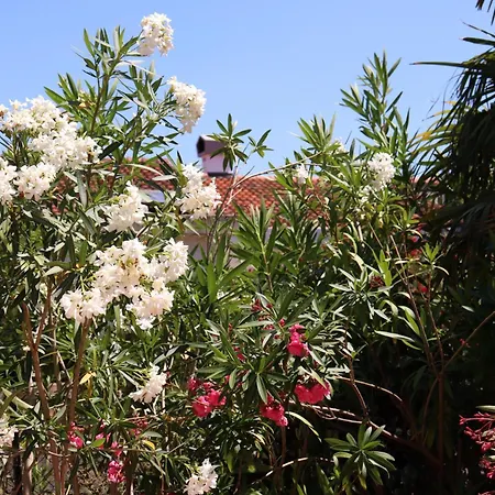 Shoreline Serenity *