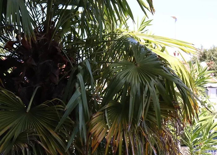 Shoreline Serenity *