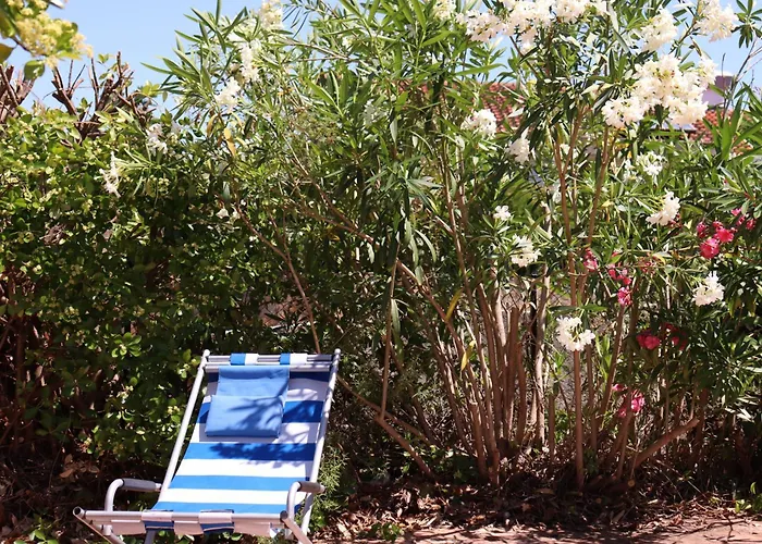 Shoreline Serenity *