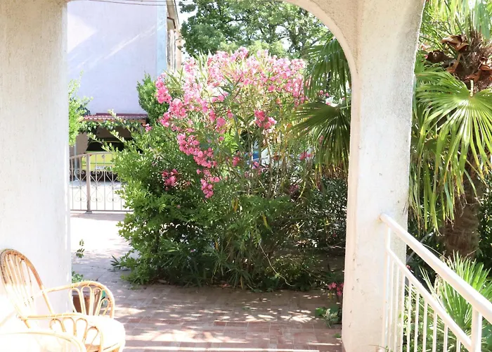 Shoreline Serenity *